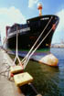 Humbold Express