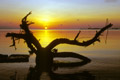 Malediven - Addu Atoll - Gan