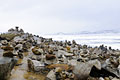 Steinmännchenversammlung auf der Hardangervidda