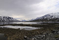 Strynefjell