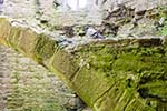 Taube in Beaumaris Castle
