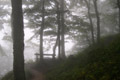 Nebel auf der Kneifelspitze