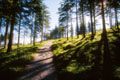 Weg zum Watzmannhaus