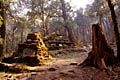 Manimauern bei Danda (Om Mani Padme Hum)