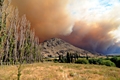 Waldbrand im NP Los Alerces, 2 km vor Esquel