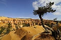 Irgendwo im Bryce Canyon