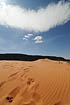 Coral Pink Sand Dunes